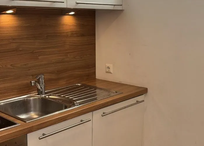 Two Double Bedrooms In Center * Vienna
